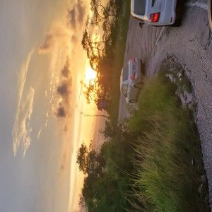 Meet your Posher, Gavin